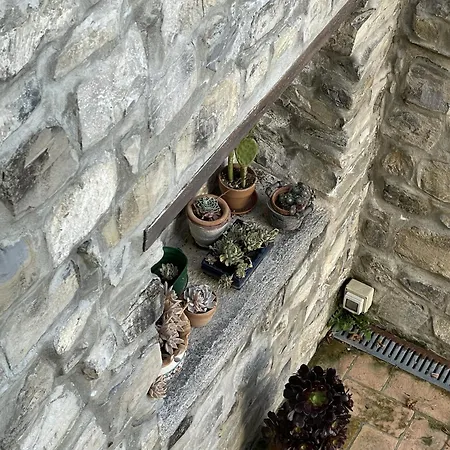 The House Between The Lakes *