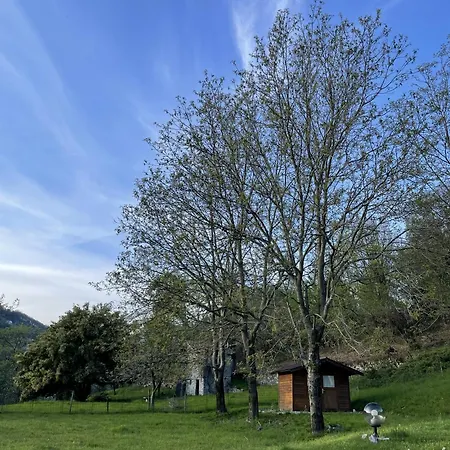 The House Between The Lakes